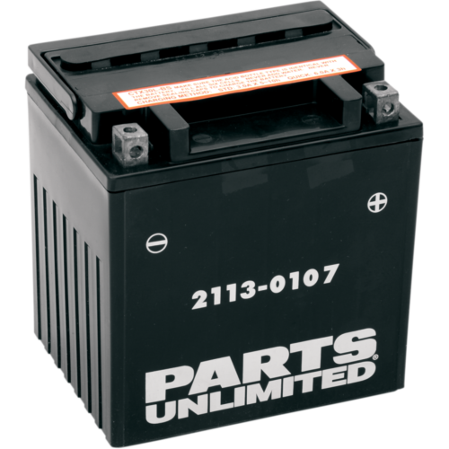Parts Unlimited AGM Maintenance-Free - CTX30L-BS