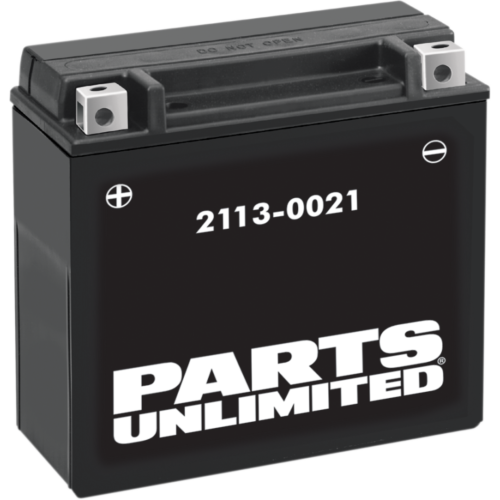 Parts Unlimited High-Performance AGM Maintenance-Free Battery - CTX20H-BS